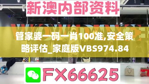 管家婆一碼一肖100準(zhǔn),安全策略評估_家庭版VBS974.84