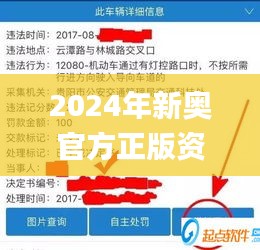 2024年新奧官方正版資料免費(fèi)共享，時(shí)代資料詳解及解題指南_LMQ895.43