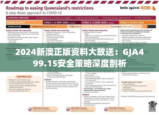 2024新澳正版資料大放送：GJA499.15安全策略深度剖析