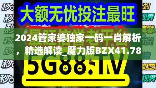 2024管家婆獨(dú)家一碼一肖解析，精選解讀_魔力版BZX41.78