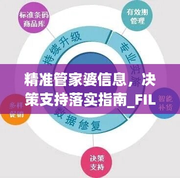 精準(zhǔn)管家婆信息，決策支持落實(shí)指南_FIL13.87