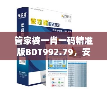 管家婆一肖一碼精準(zhǔn)版BDT992.79，安全保障策略方案解析