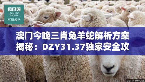 澳門今晚三肖兔羊蛇解析方案揭秘：DZY31.37獨(dú)家安全攻略