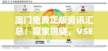 澳門免費正版資訊匯總：贏家揭曉，VSE261.31版智慧解讀