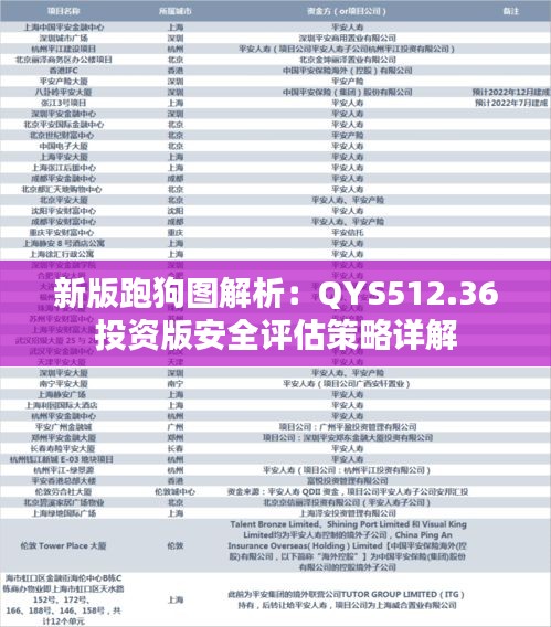 新版跑狗圖解析：QYS512.36投資版安全評(píng)估策略詳解