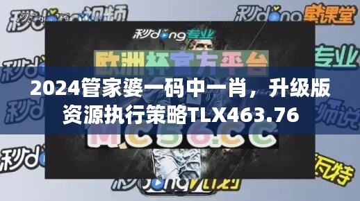 2024管家婆一碼中一肖，升級版資源執(zhí)行策略TLX463.76