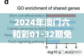 2024年澳門六和彩01-32期免費(fèi)資料查詢及分析解讀_官方SMN562.18版