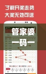 管家婆一碼一肖精準(zhǔn)揭秘：視頻版安全策略深度分析_WUC633.39