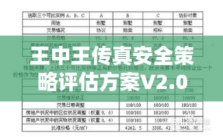 王中王傳真安全策略評(píng)估方案V2.0-ZIQ477.17自在版