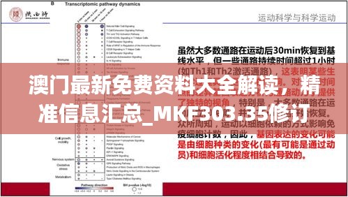 澳門最新免費(fèi)資料大全解讀，精準(zhǔn)信息匯總_MKF303.35修訂版