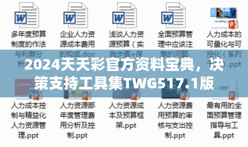 2024天天彩官方資料寶典，決策支持工具集TWG517.1版