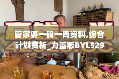 管家婆一碼一肖資料,綜合計劃賞析_力量版BYL529.73