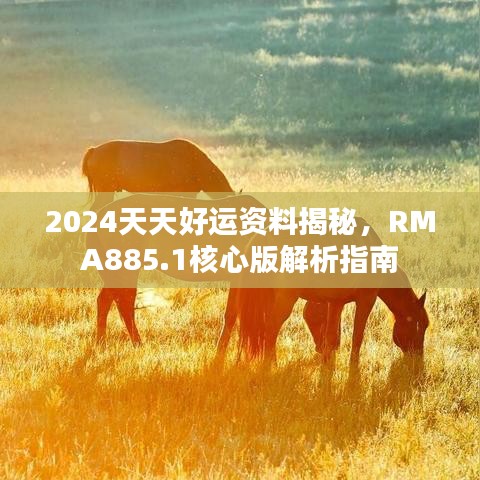 2024天天好運資料揭秘，RMA885.1核心版解析指南