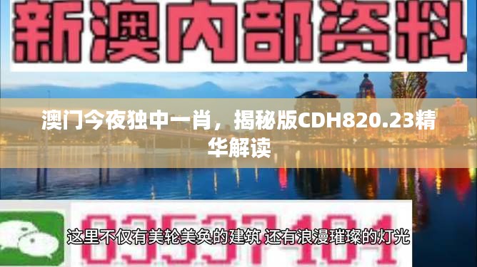 澳門今夜獨中一肖，揭秘版CDH820.23精華解讀