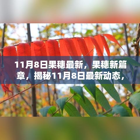 揭秘果實(shí)世界新篇章，11月8日果穗最新動(dòng)態(tài)探索鮮為人知的果實(shí)世界