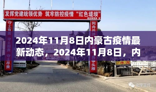 2024年11月8日內(nèi)豪古地區(qū)疫情最新動態(tài)分析報告