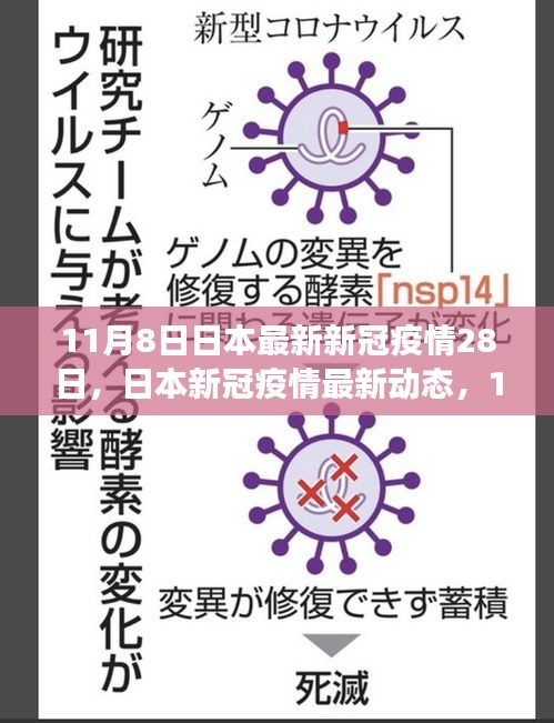 日本新冠疫情深度觀察，11月動(dòng)態(tài)與影響分析