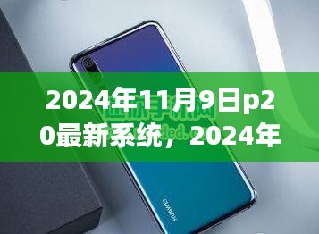 華為P20最新系統(tǒng)升級指南，零基礎(chǔ)教程，輕松上手（2024年11月9日版）