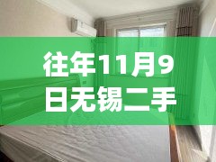 揭秘往年11月9日無錫二手房市場風(fēng)云，小巷特色小店與最新房價探秘