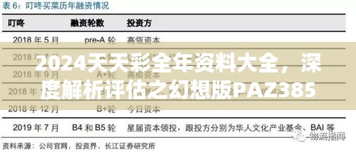 2024天天彩全年資料大全，深度解析評(píng)估之幻想版PAZ385.91