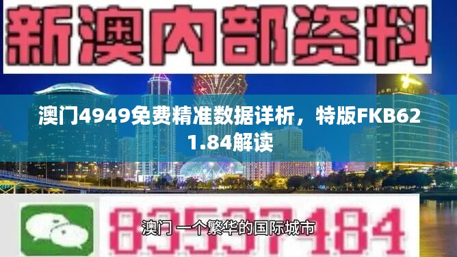 澳門4949免費(fèi)精準(zhǔn)數(shù)據(jù)詳析，特版FKB621.84解讀