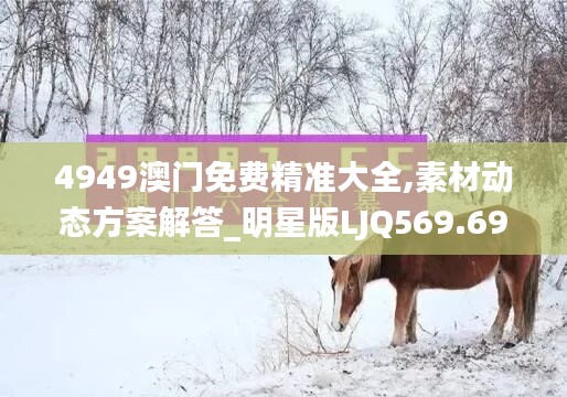 4949澳門免費精準大全,素材動態(tài)方案解答_明星版LJQ569.69