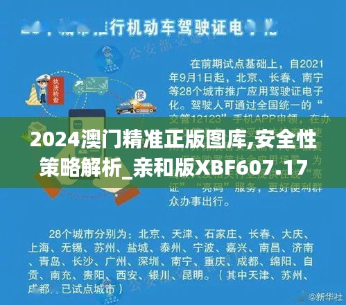 2024澳門精準(zhǔn)正版圖庫,安全性策略解析_親和版XBF607.17