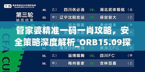 管家婆精準一碼一肖攻略，安全策略深度解析_ORB15.09探索版