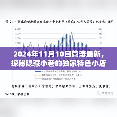 探秘獨家特色小店，管濤最新發(fā)現(xiàn)，2024年11月驚喜之旅