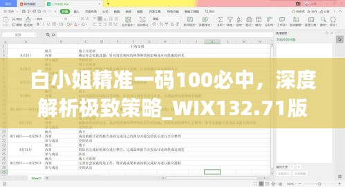 白小姐精準一碼100必中，深度解析極致策略_WIX132.71版