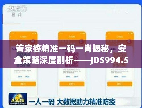 管家婆精準(zhǔn)一碼一肖揭秘，安全策略深度剖析——JDS994.53探索版