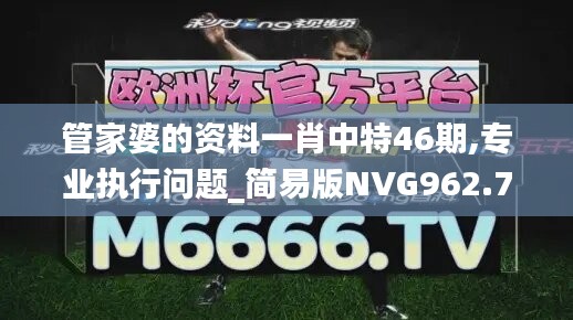 管家婆的資料一肖中特46期,專業(yè)執(zhí)行問題_簡(jiǎn)易版NVG962.78