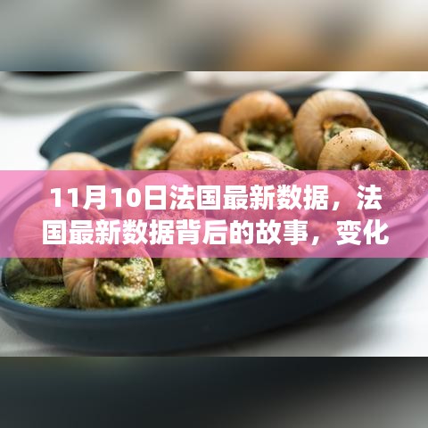 法國(guó)最新數(shù)據(jù)解析，變化的力量與學(xué)習(xí)的魅力背后的故事