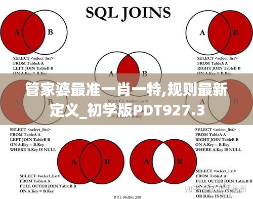 管家婆最準(zhǔn)一肖一特,規(guī)則最新定義_初學(xué)版PDT927.3