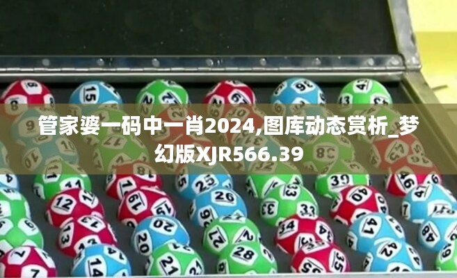 管家婆一碼中一肖2024,圖庫動態(tài)賞析_夢幻版XJR566.39