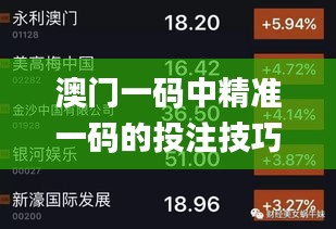 澳門(mén)一碼中精準(zhǔn)一碼的投注技巧,全新方案解析_影音版205.26