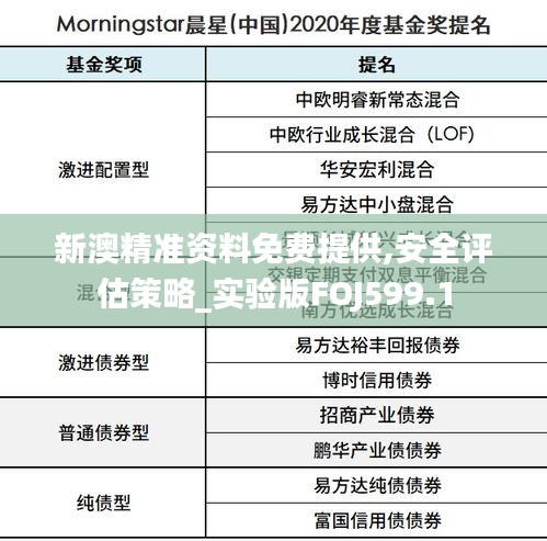 新澳精準資料免費提供,安全評估策略_實驗版FOJ599.1