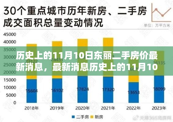 歷史上的11月10日東麗二手房價(jià)走勢分析與最新消息，購房指南