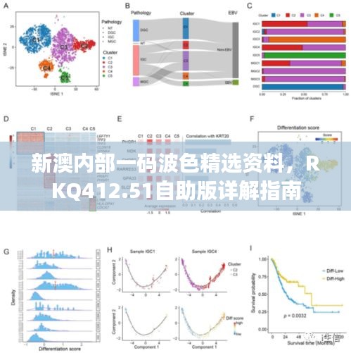 新澳內(nèi)部一碼波色精選資料，RKQ412.51自助版詳解指南