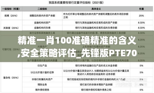 精準一肖100準確精準的含義,安全策略評估_先鋒版PTE708.92