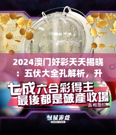 2024澳門好彩天天揭曉：五伏大全孔解析，升級版HZB637.71研究解讀