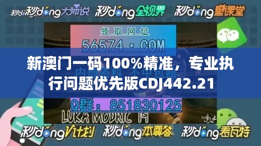 新澳門一碼100%精準(zhǔn)，專業(yè)執(zhí)行問題優(yōu)先版CDJ442.21