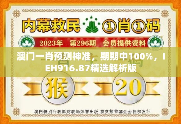 澳門一肖預(yù)測神準，期期中100%，IEH916.87精選解析版