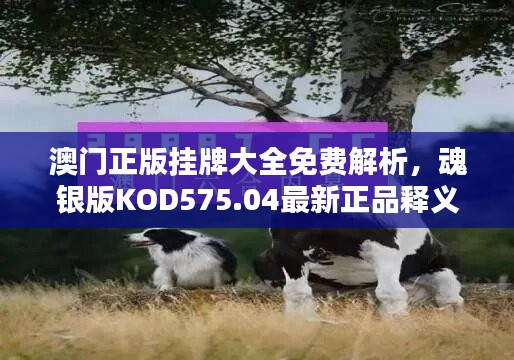 澳門(mén)正版掛牌大全免費(fèi)解析，魂銀版KOD575.04最新正品釋義