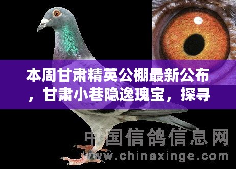 甘肅精英公棚新亮點揭秘，小巷隱逸瑰寶與特色小店探秘