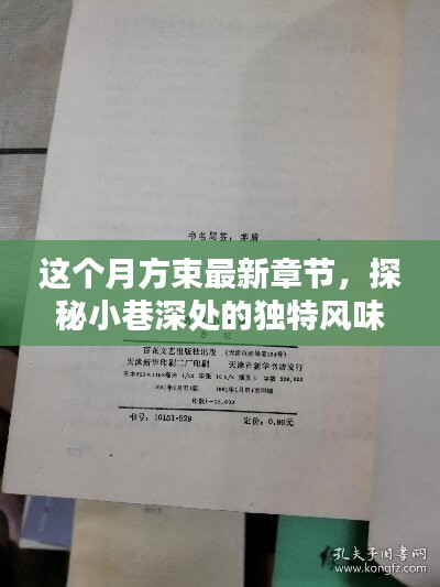 探秘小巷深處的獨特風(fēng)味，這個月方束最新章節(jié)背后的神秘小店揭秘