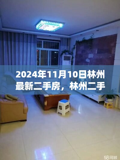 林州二手房新篇章，學習變化，自信成就未來（2024年11月10日最新資訊）