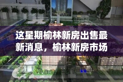 榆林新房市場最新動態(tài)，本周新房出售評測與介紹全新出爐