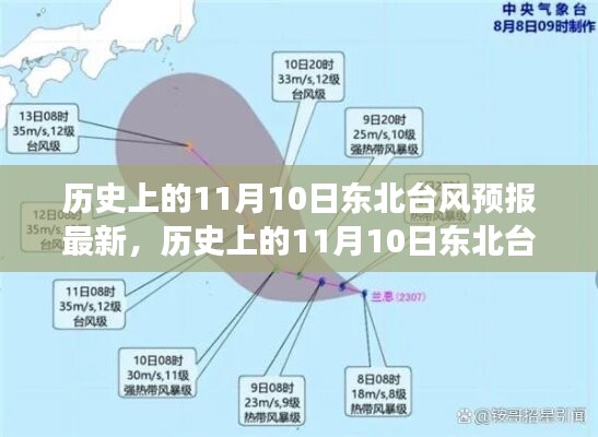 歷史上的11月10日東北臺風(fēng)預(yù)報(bào)最新解讀，特性、體驗(yàn)與競品對比