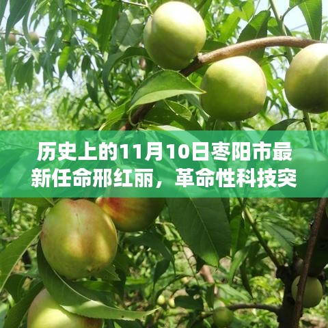 邢紅麗掌舵下的棗陽市，革命性科技突破與新任高科技產(chǎn)品重磅發(fā)布